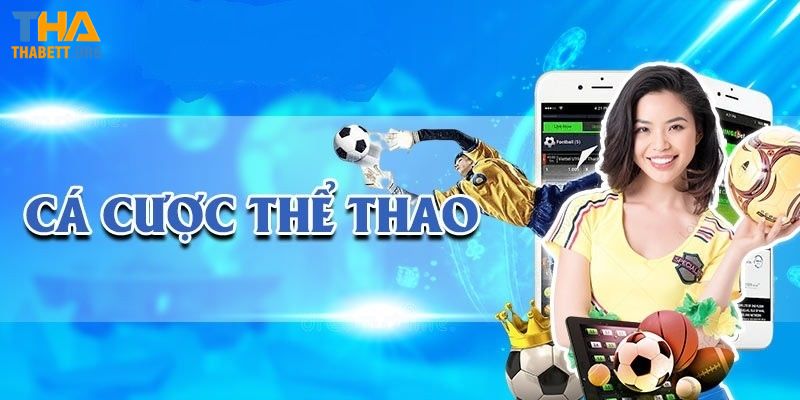 Đánh giá tổng quan về sảnh cược CR thể thao tại Thabet