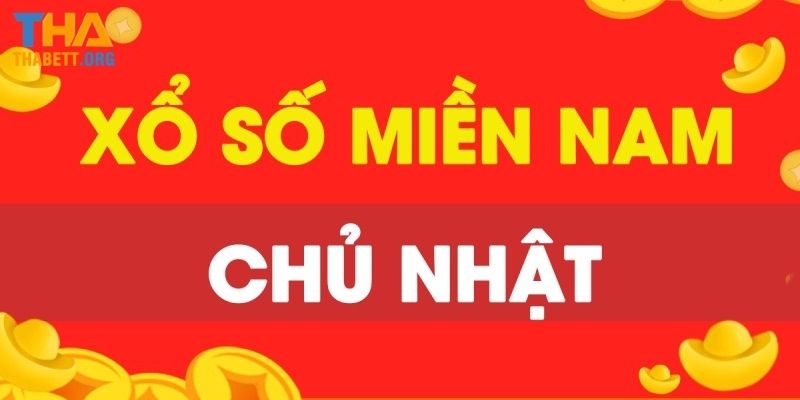 Ưu điểm nổi trội của loại hình cá cược xổ số miền Nam tại Thabet