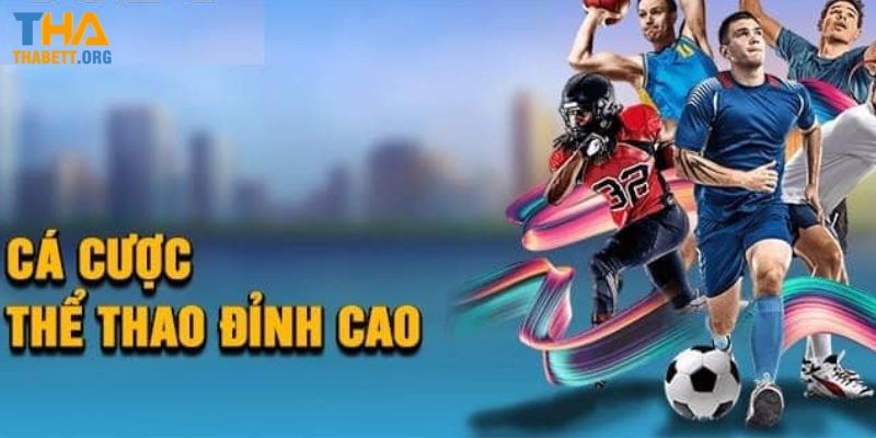 Vài nét giới thiệu cơ bản về CMD thể thao